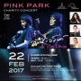 Pink Park Concert