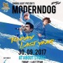 ͹ Moderndog Today Last Year