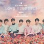 BTS World Tour Love Yourself Bangkok