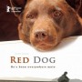 Red Dog