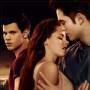 The Twilight Saga: Breaking Dawn - Part 1