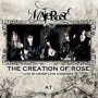 Malerose The Creation of Rose Live & Cover Live Concert