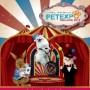 Pet Expo Thailand 2012