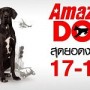 Amazing Dog Show