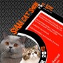 Siam Cat Show 2012