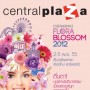 Chiangmai Flora Blossom 2012