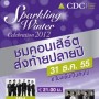 Countdown Concert : Sparkling Winter Celebration 2012