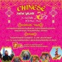Chinese New Year 2013