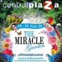 มหัศจรรย์สวนสวย Miracle Garden 2013