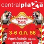 Circus Dog