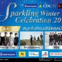 Sparkling Winter Celebration 2014