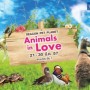 Pet Planet: Animal in Love