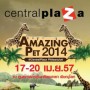 Amazing Pet 2014