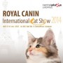International Cat Show 2014