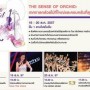 The Sense Of Orchid