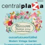 Blossom Mania 2014