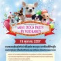 Mini Dogs Party