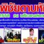 งานพระยาพิชัยดาบหักและงานกาชาด ประจำปี 2558