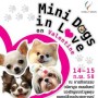 Mini Dogs In Love On Valentine