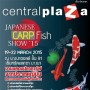 Japanese Fish Carp Show 2015