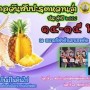 เทศกาลวันสับปะรดหวานฉ่ำ ประจำปี 2558