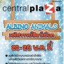 งาน Albino Animal