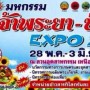 มหกรรมเจ้าพระยา - ป่าสัก Expo 2015