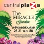 งาน The Miracle Garden