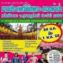 งานประเพณีชักพระ-ทอดผ้าป่า แข่งเรือยาว จ. สุราษฎร์ธานี