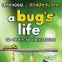 A Bug's Life มหัศจรรย์ ชีวิตสัตว์มากขา