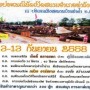งานแข่งเรือประเพณีนัดเปิดสนามอำเภอท่าวังผา 2558