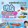 Fish Festival 2015