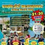 งานประจำปี และงานกาชาด จ.พังงา ประจำปี 2559
