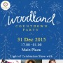 Woodland Countdown Party 2016