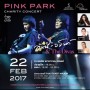 Pink Park Concert