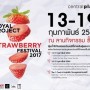 Royal Project Strawberry Festival 2017