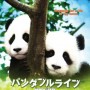Panda Diary