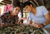 รูปภาพ 9