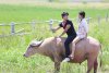 รูปภาพ 22