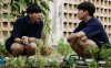 รูปภาพ 8