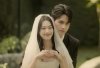 รูปภาพ 11