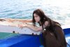 รูปภาพ 11