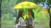 รูปภาพ 9