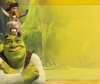  Shrek Memory