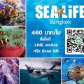 บัตร SEA LIFE Bangkok ราคาพิเศษ เพียง 460 บาท/คนเท่านั้น