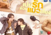 เปย์รักด้วยแมวเลี้ยง