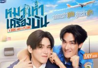 หมาเห่าเครื่องบิน A Dog And A Plane