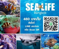 บัตร SEA LIFE Bangkok ราคาพิเศษ เพียง 460 บาท/คนเท่านั้น