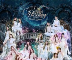 Blush Blossom Fan Fest 2026 : Midnight Bloom