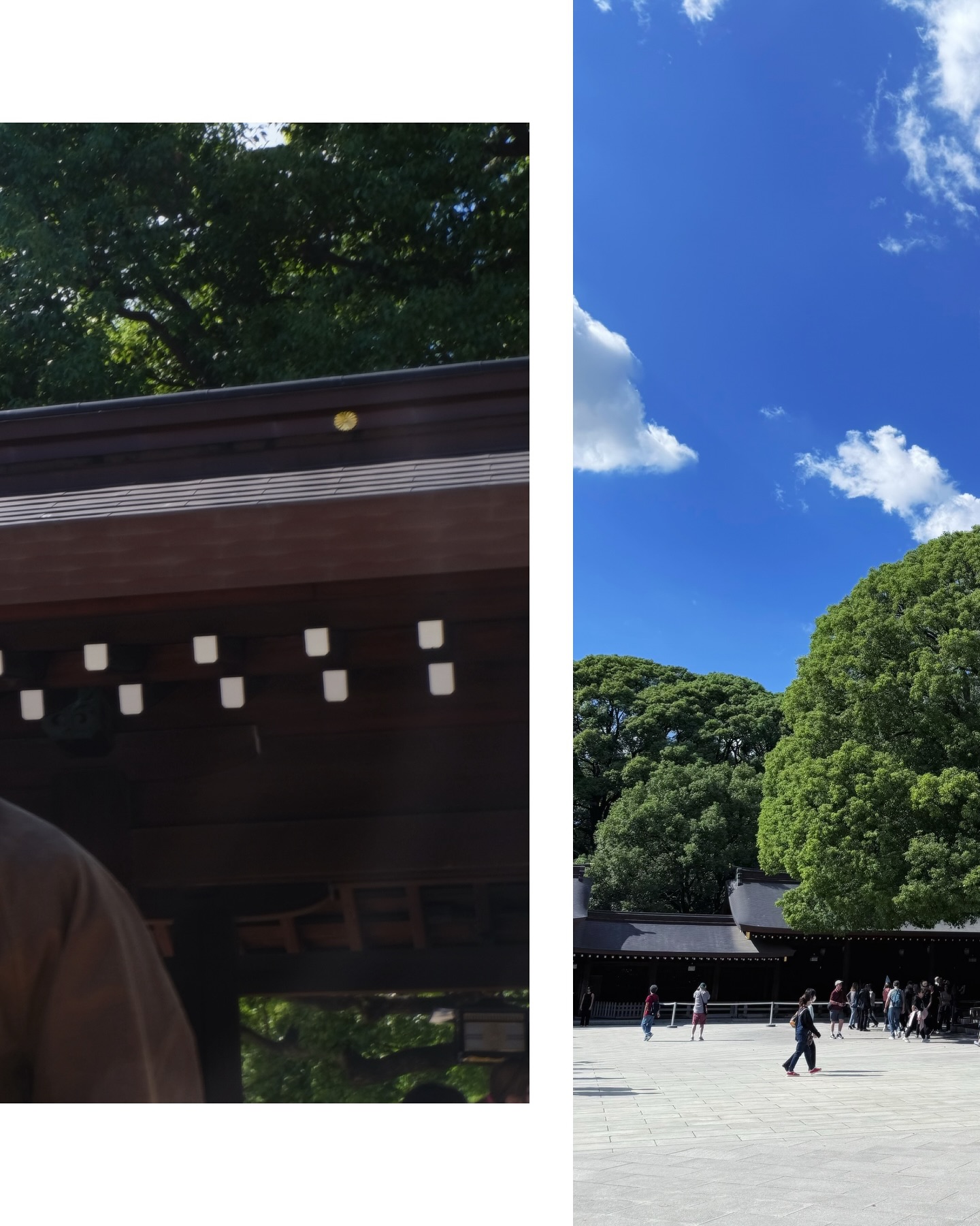 มิว - ศุภศิษฏ์ จงชีวีวัฒน์